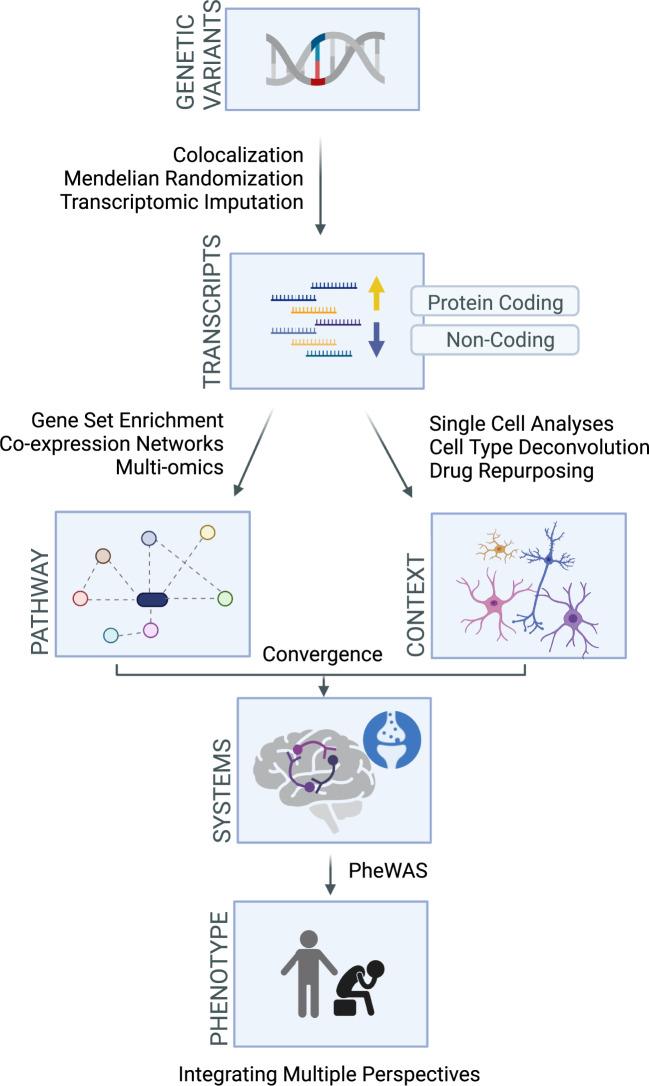 https://cdn.ncbi.nlm.nih.gov/pmc/blobs/ed38/10115809/71b12687d4e6/41398_2023_2412_Fig2_HTML.jpg