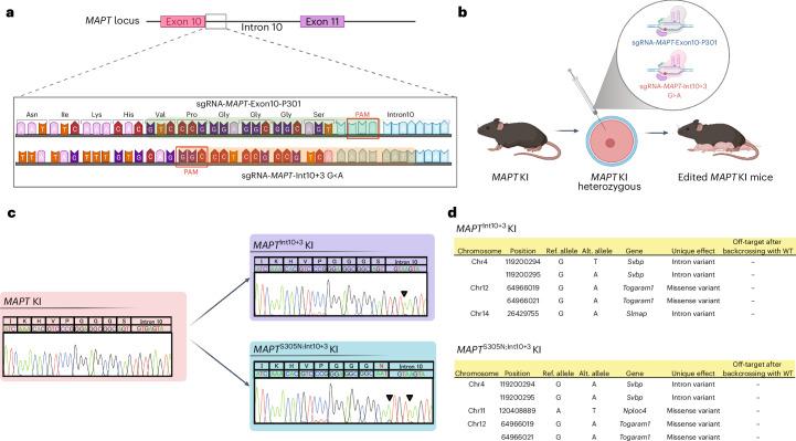 https://cdn.ncbi.nlm.nih.gov/pmc/blobs/ed38/11802456/195261c3fbae/41593_2024_1829_Fig1_HTML.jpg