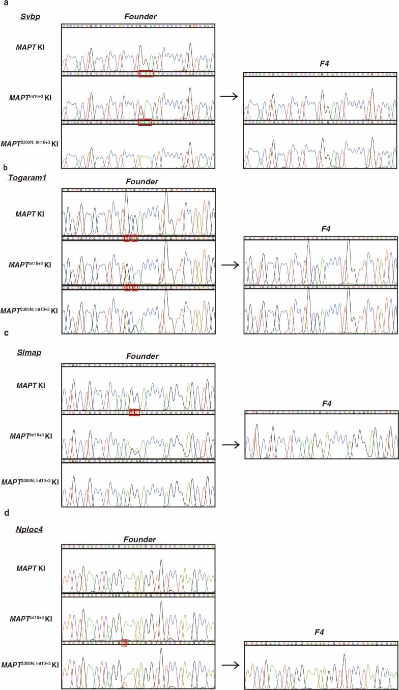 https://cdn.ncbi.nlm.nih.gov/pmc/blobs/ed38/11802456/ad8f9bd0a8b4/41593_2024_1829_Fig10_ESM.jpg