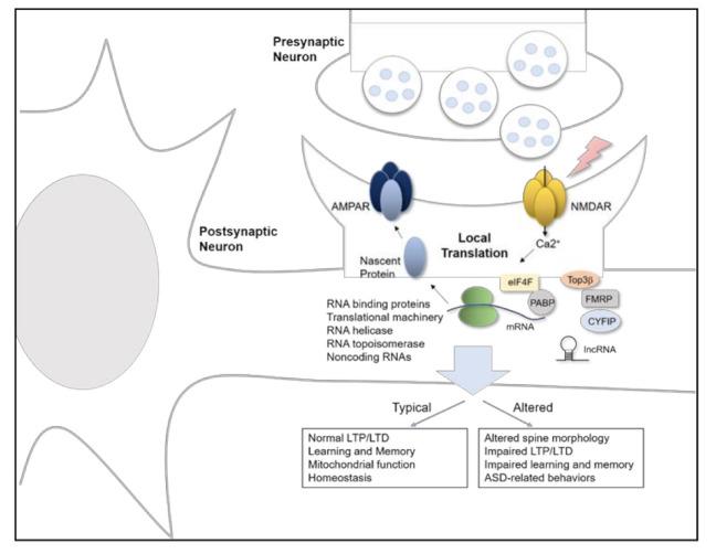 https://cdn.ncbi.nlm.nih.gov/pmc/blobs/ed38/8001067/a3acde4eedfa/ijms-22-02811-g001.jpg