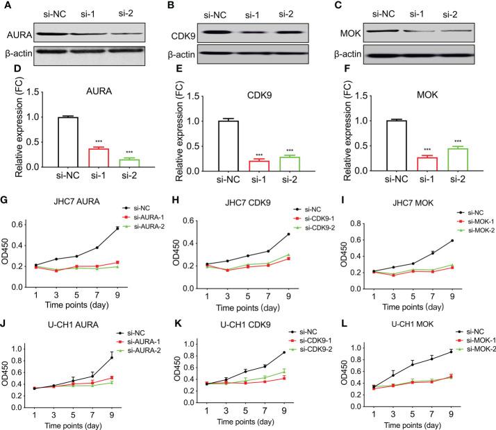 https://cdn.ncbi.nlm.nih.gov/pmc/blobs/ed3a/9563620/1e4369acb788/fonc-12-941046-g005.jpg