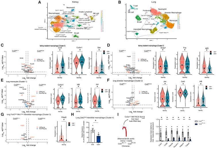 https://cdn.ncbi.nlm.nih.gov/pmc/blobs/ed3b/10588993/3ee3343ae356/gr2.jpg
