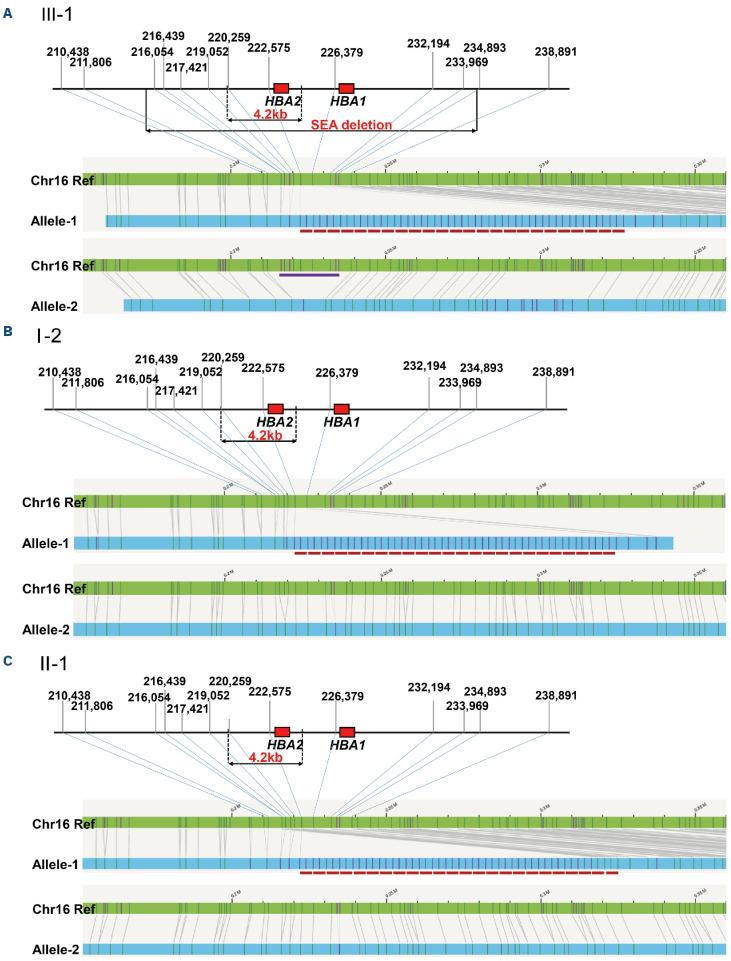 https://cdn.ncbi.nlm.nih.gov/pmc/blobs/ed3c/10905065/a2a8856d9d3e/1091000.fig2.jpg