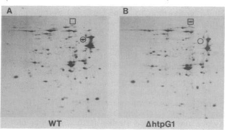 https://cdn.ncbi.nlm.nih.gov/pmc/blobs/ed3c/211237/f5293679c0df/jbacter00185-0100-c.jpg