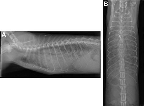 https://cdn.ncbi.nlm.nih.gov/pmc/blobs/ed3c/4673770/f2dd5686ef4a/12917_2015_613_Fig1_HTML.jpg