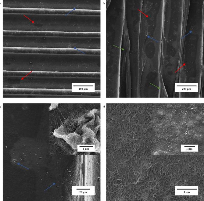 https://cdn.ncbi.nlm.nih.gov/pmc/blobs/ed3d/11511984/1954ac9dd9c9/41598_2024_76028_Fig3_HTML.jpg