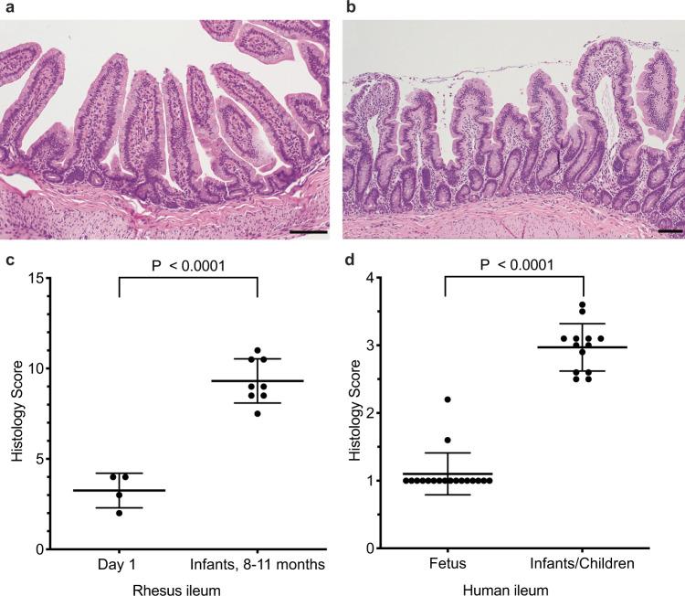https://cdn.ncbi.nlm.nih.gov/pmc/blobs/ed40/8752659/c724080b4051/41467_2021_27925_Fig2_HTML.jpg