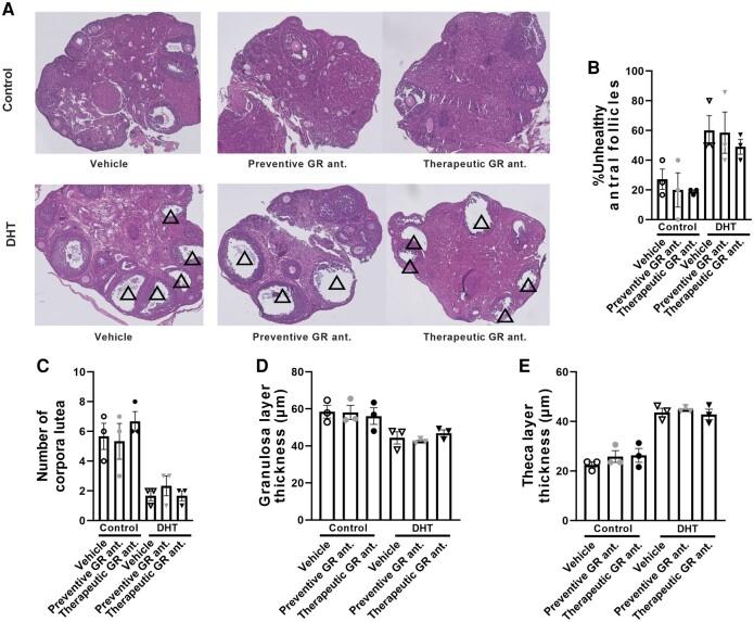 https://cdn.ncbi.nlm.nih.gov/pmc/blobs/ed41/10758754/51f43625b1a2/bvad162f3.jpg