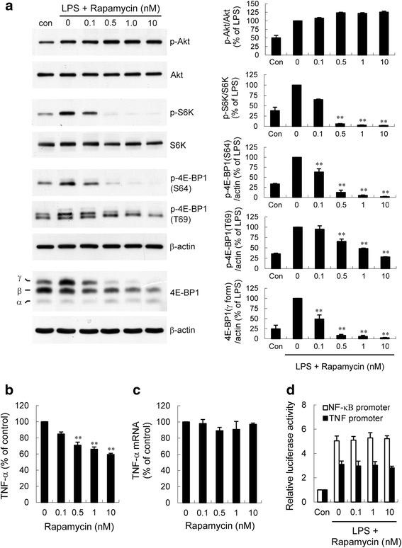 https://cdn.ncbi.nlm.nih.gov/pmc/blobs/ed41/4831152/6e55e3b5b883/12974_2016_543_Fig10_HTML.jpg