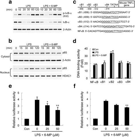 https://cdn.ncbi.nlm.nih.gov/pmc/blobs/ed41/4831152/9a27303aca49/12974_2016_543_Fig3_HTML.jpg