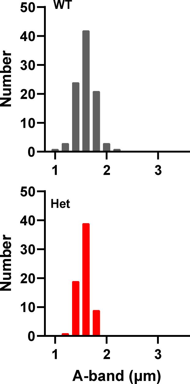 https://cdn.ncbi.nlm.nih.gov/pmc/blobs/ed41/9546722/18acebf279a2/JGP_202213136_FigS2.jpg