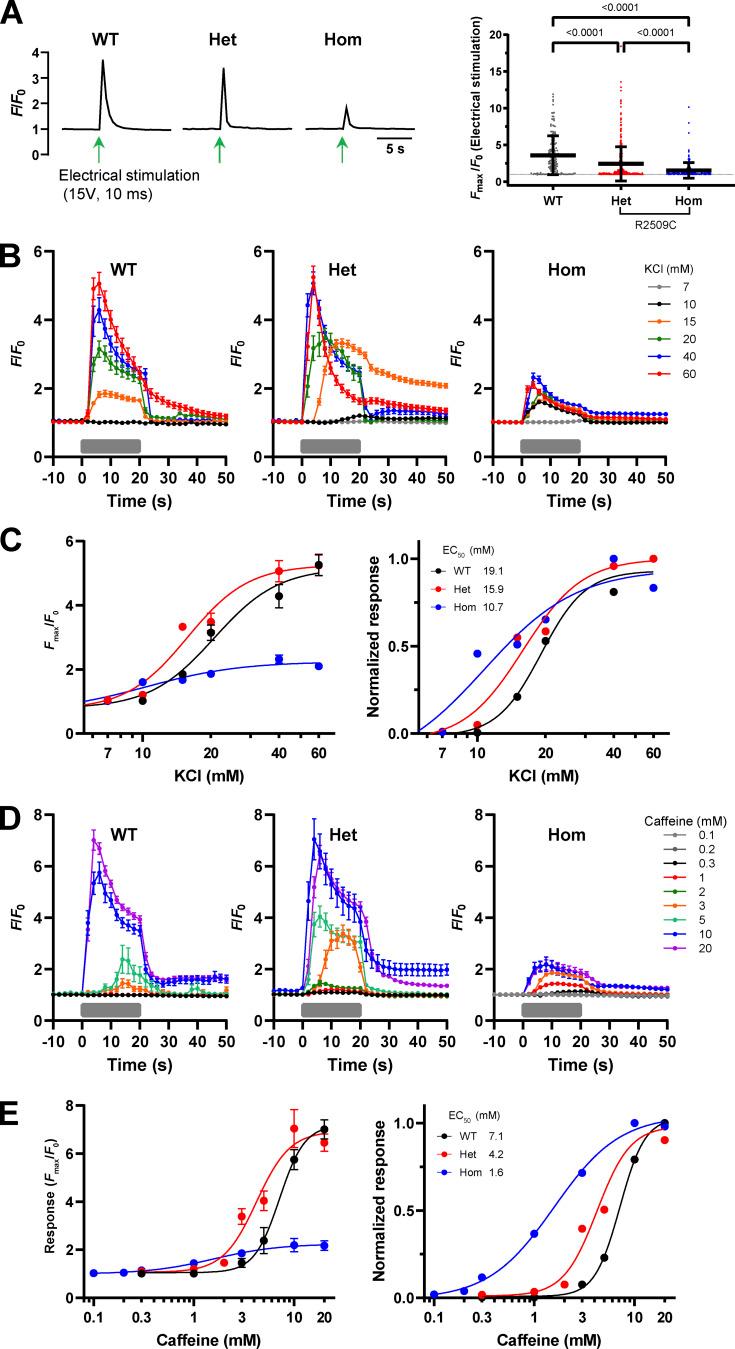 https://cdn.ncbi.nlm.nih.gov/pmc/blobs/ed41/9546722/fd21056ff8c7/JGP_202213136_Fig4.jpg