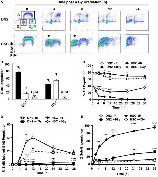 https://cdn.ncbi.nlm.nih.gov/pmc/blobs/ed44/6004388/be16356d4852/fimmu-09-01312-g002.jpg