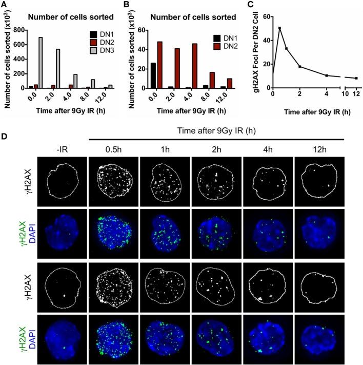 https://cdn.ncbi.nlm.nih.gov/pmc/blobs/ed44/6004388/fe933cb616ee/fimmu-09-01312-g006.jpg