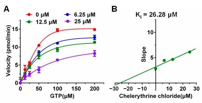 https://cdn.ncbi.nlm.nih.gov/pmc/blobs/ed45/8347364/206608771e34/ijms-22-08212-g002.jpg