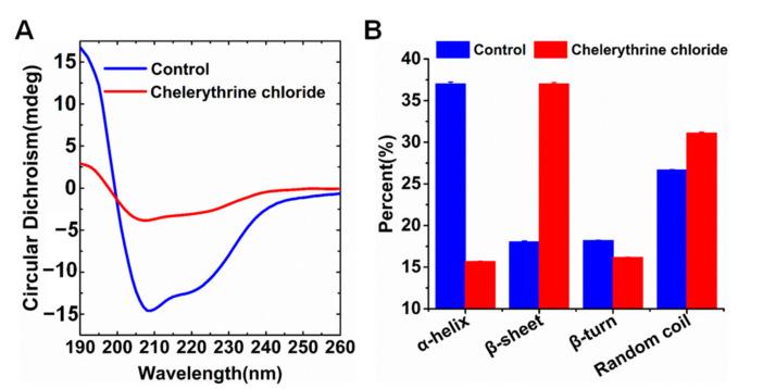 https://cdn.ncbi.nlm.nih.gov/pmc/blobs/ed45/8347364/2119812cca08/ijms-22-08212-g004.jpg