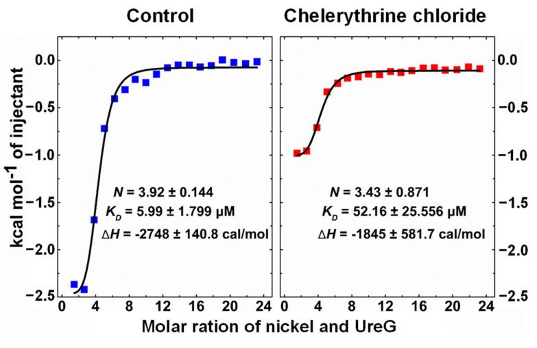 https://cdn.ncbi.nlm.nih.gov/pmc/blobs/ed45/8347364/739bfb595ddc/ijms-22-08212-g003.jpg