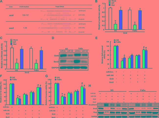 https://cdn.ncbi.nlm.nih.gov/pmc/blobs/ed48/5356645/45a5114e34ee/oncotarget-07-84072-g006.jpg