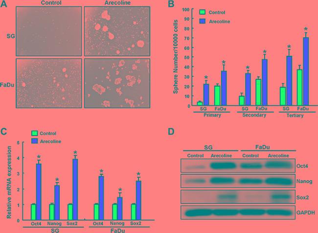 https://cdn.ncbi.nlm.nih.gov/pmc/blobs/ed48/5356645/76f1b02cdc9b/oncotarget-07-84072-g002.jpg