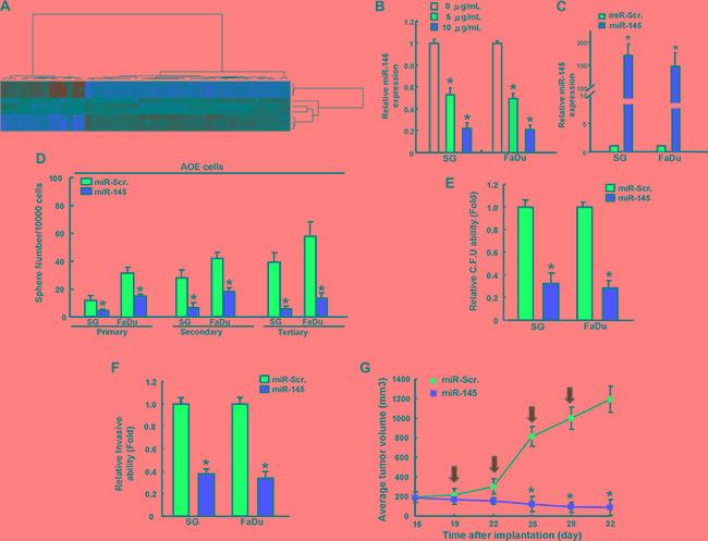 https://cdn.ncbi.nlm.nih.gov/pmc/blobs/ed48/5356645/8296b50b094f/oncotarget-07-84072-g005.jpg