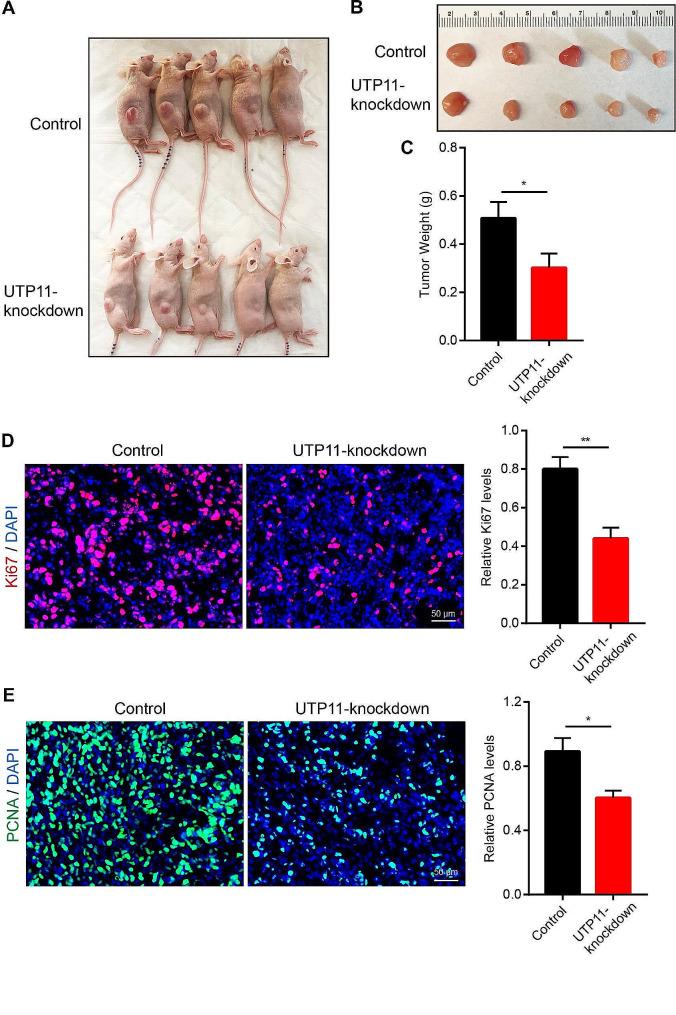 https://cdn.ncbi.nlm.nih.gov/pmc/blobs/ed4a/10795422/7014d6a85763/12885_2023_11794_Fig4_HTML.jpg