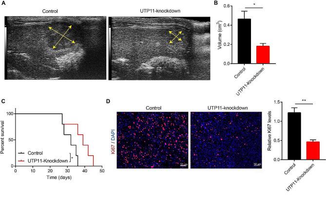 https://cdn.ncbi.nlm.nih.gov/pmc/blobs/ed4a/10795422/b8985cb0dd13/12885_2023_11794_Fig5_HTML.jpg