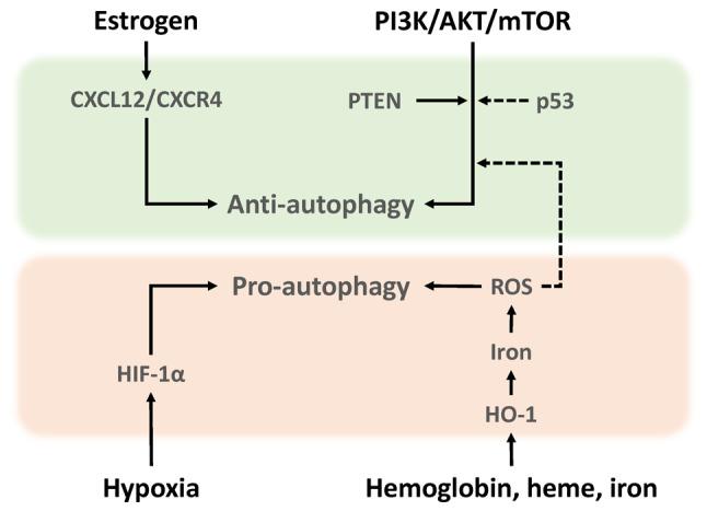 https://cdn.ncbi.nlm.nih.gov/pmc/blobs/ed4a/11265838/4cf90a3064ca/ijmm-54-03-05402-g01.jpg