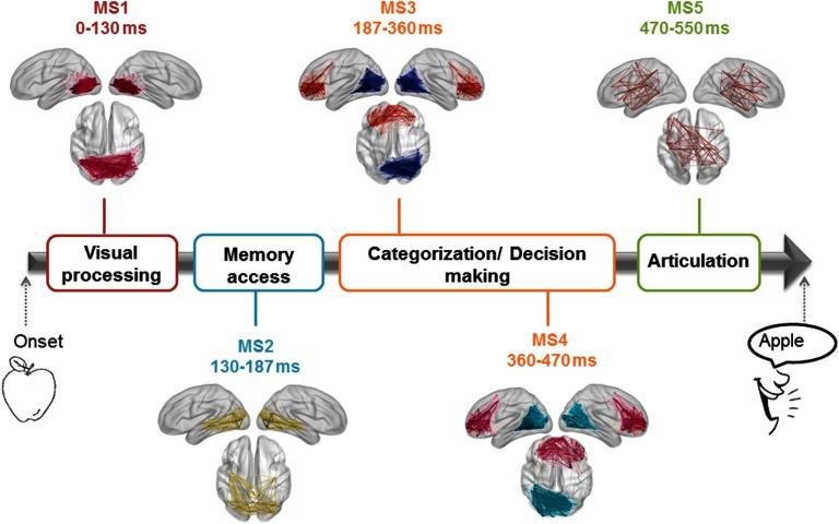 https://cdn.ncbi.nlm.nih.gov/pmc/blobs/ed4c/6663471/05c505566a59/netn-03-878-g009.jpg