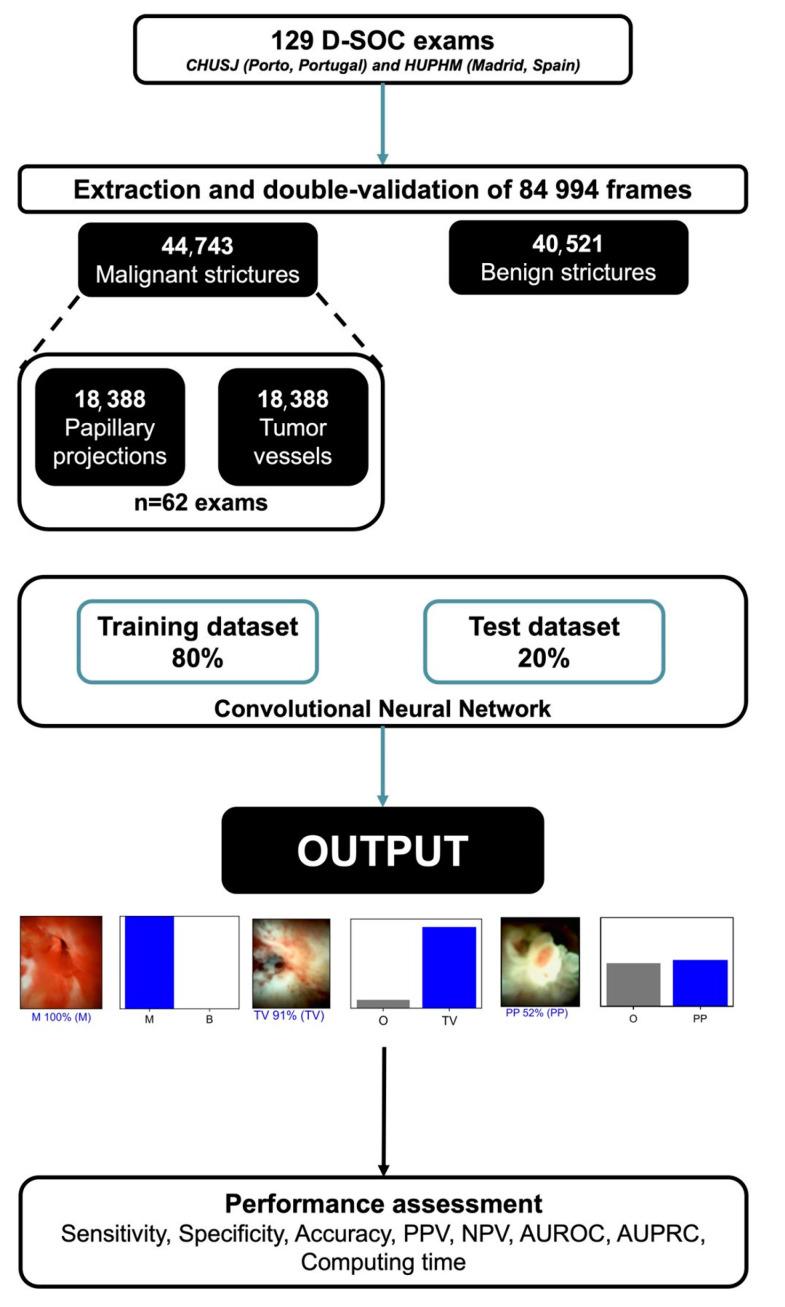 https://cdn.ncbi.nlm.nih.gov/pmc/blobs/ed4f/10571941/60f18f018c76/cancers-15-04827-g001.jpg