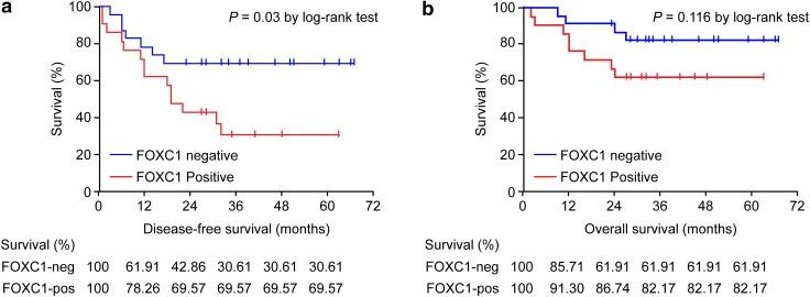 https://cdn.ncbi.nlm.nih.gov/pmc/blobs/ed50/5438824/a9e5e34fd502/280_2017_3319_Fig2_HTML.jpg
