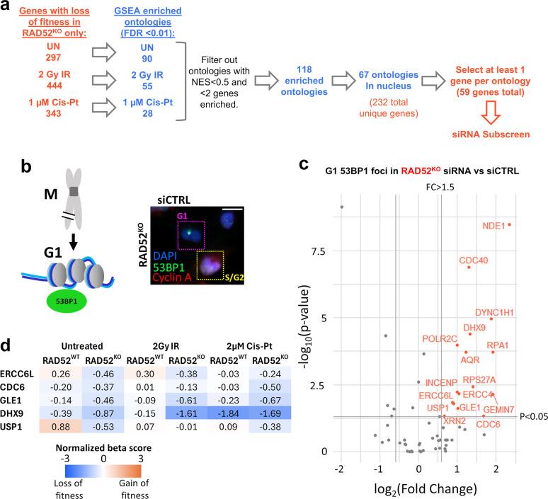https://cdn.ncbi.nlm.nih.gov/pmc/blobs/ed53/11614213/a563a9307101/pgen.1011479.g002.jpg