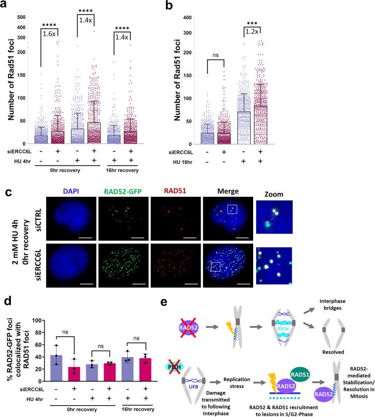 https://cdn.ncbi.nlm.nih.gov/pmc/blobs/ed53/11614213/b48150aa70df/pgen.1011479.g008.jpg