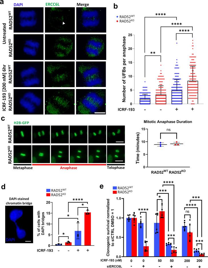 https://cdn.ncbi.nlm.nih.gov/pmc/blobs/ed53/11614213/d386e1ecc04b/pgen.1011479.g004.jpg