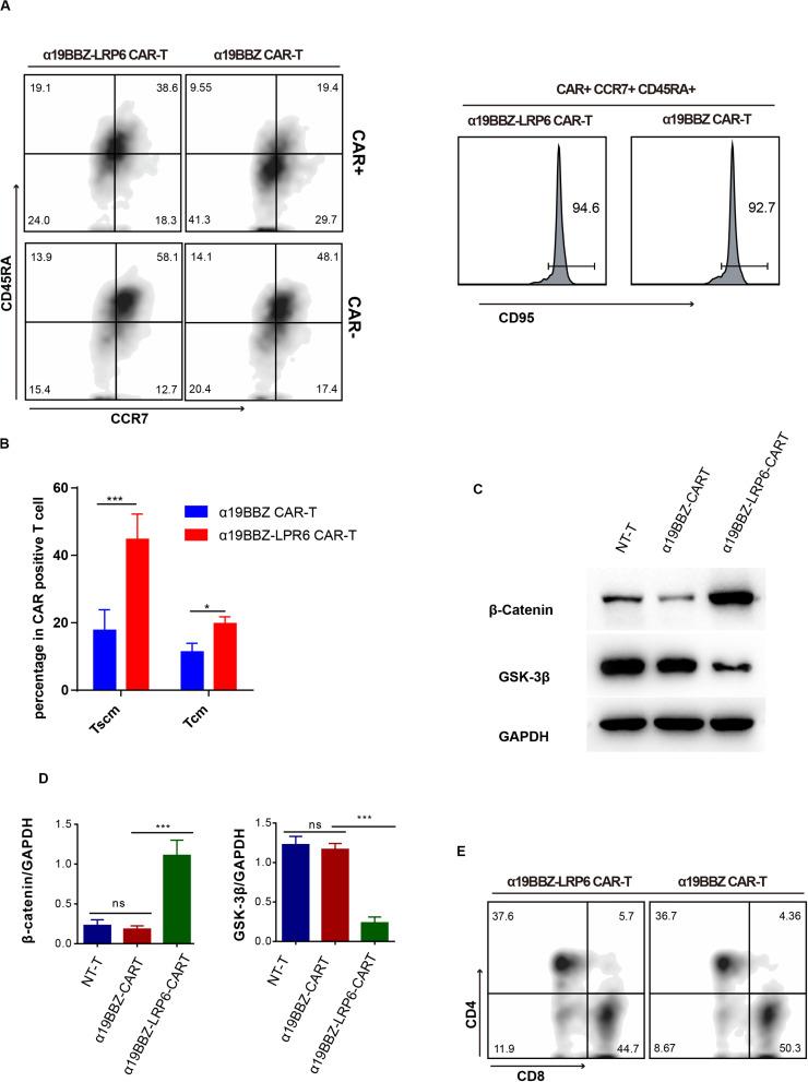 https://cdn.ncbi.nlm.nih.gov/pmc/blobs/ed54/7522530/0b6e0aca308c/fonc-10-01346-g002.jpg