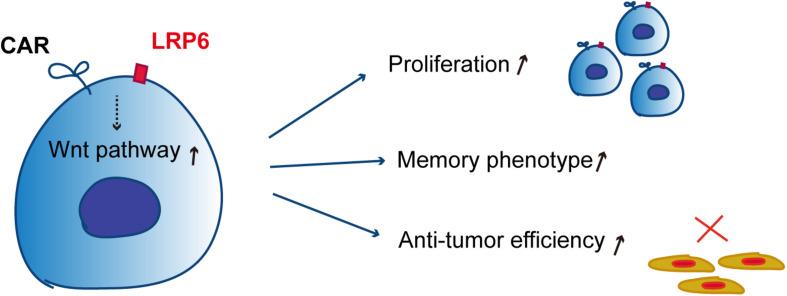 https://cdn.ncbi.nlm.nih.gov/pmc/blobs/ed54/7522530/158e2e8eff08/fonc-10-01346-g005.jpg