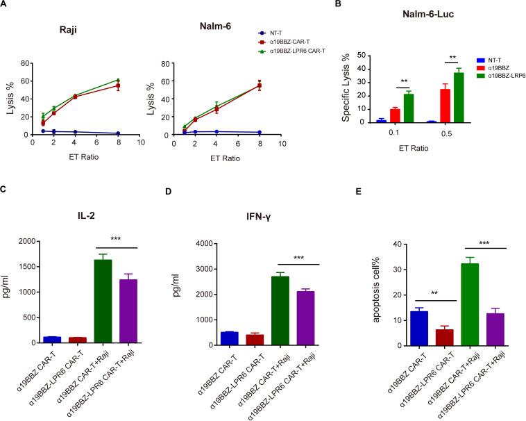 https://cdn.ncbi.nlm.nih.gov/pmc/blobs/ed54/7522530/7e941b04df9e/fonc-10-01346-g003.jpg