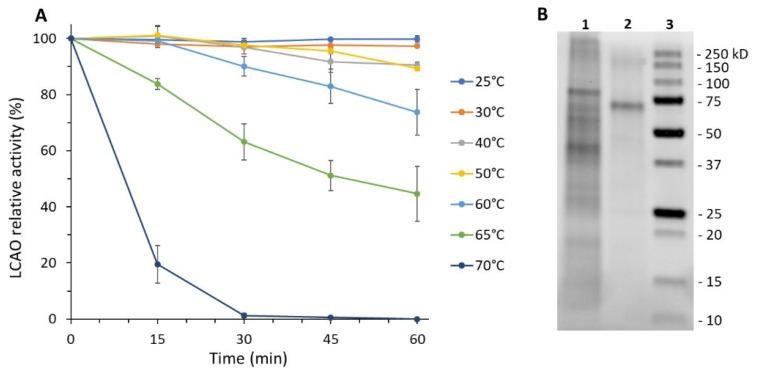 https://cdn.ncbi.nlm.nih.gov/pmc/blobs/ed54/8533949/a190e7a467de/biomolecules-11-01540-g001.jpg