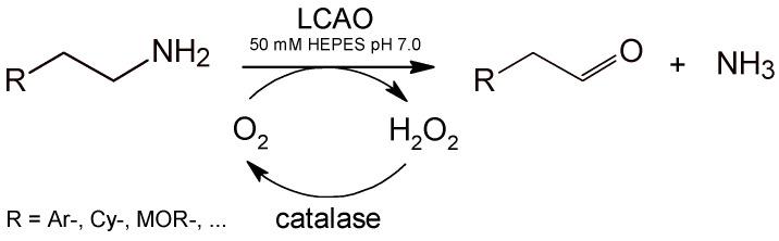 https://cdn.ncbi.nlm.nih.gov/pmc/blobs/ed54/8533949/f77005c3da81/biomolecules-11-01540-sch002.jpg