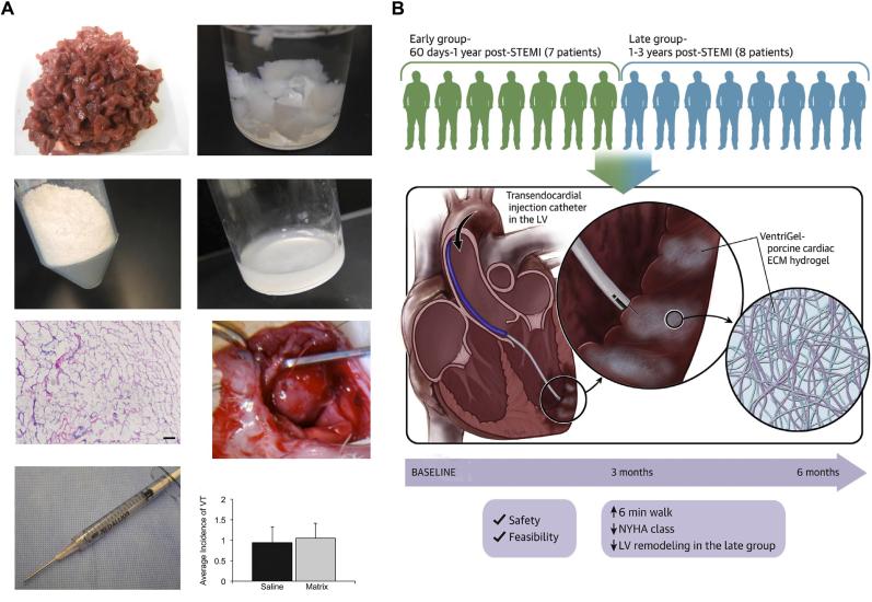 https://cdn.ncbi.nlm.nih.gov/pmc/blobs/ed55/10697850/6799316b799e/gr7.jpg