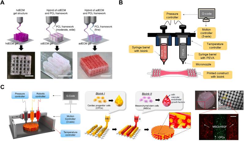 https://cdn.ncbi.nlm.nih.gov/pmc/blobs/ed55/10697850/ab9b4d2160ed/gr6.jpg