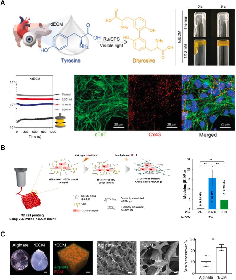 https://cdn.ncbi.nlm.nih.gov/pmc/blobs/ed55/10697850/de8fe9b36423/gr9.jpg