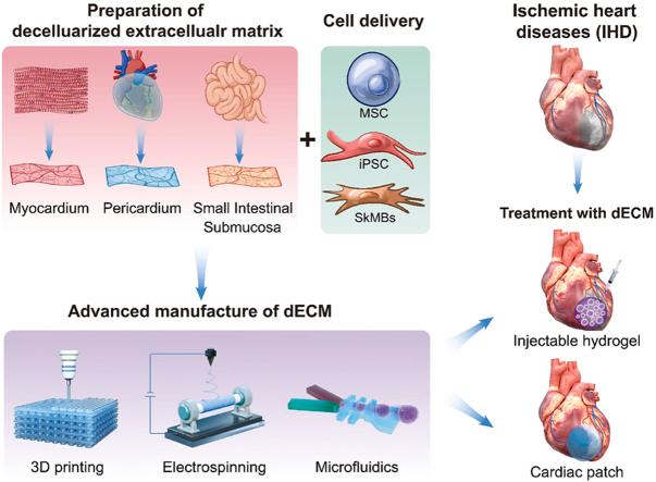 https://cdn.ncbi.nlm.nih.gov/pmc/blobs/ed55/10697850/ff427e587aec/ga1.jpg