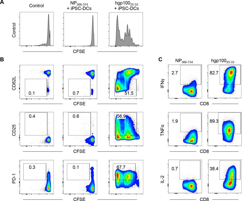 https://cdn.ncbi.nlm.nih.gov/pmc/blobs/ed56/8166607/10a256f2db06/jitc-2021-002432f02.jpg