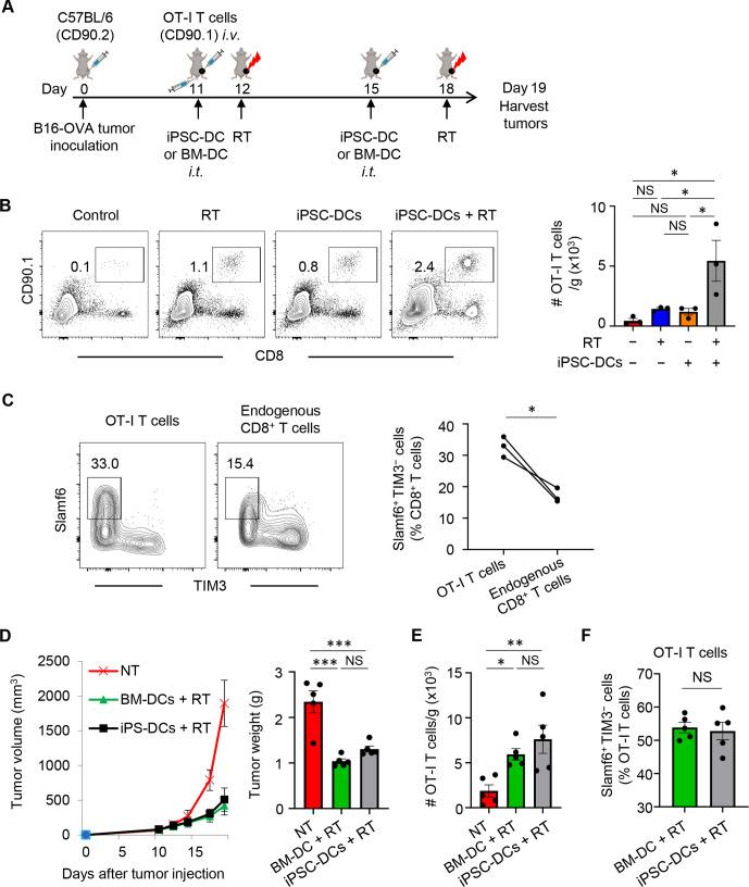 https://cdn.ncbi.nlm.nih.gov/pmc/blobs/ed56/8166607/1edb397f5cee/jitc-2021-002432f06.jpg