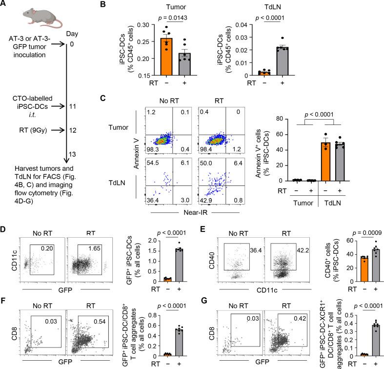 https://cdn.ncbi.nlm.nih.gov/pmc/blobs/ed56/8166607/978f104528c6/jitc-2021-002432f04.jpg