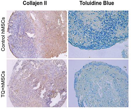 https://cdn.ncbi.nlm.nih.gov/pmc/blobs/ed56/8939446/888c5f4bdc7b/medj-37-1-g3.jpg