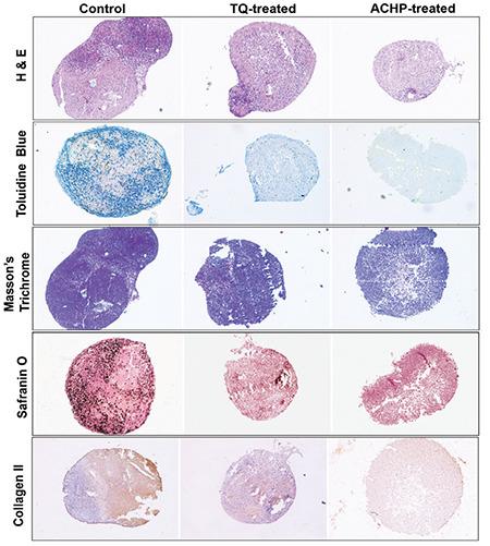 https://cdn.ncbi.nlm.nih.gov/pmc/blobs/ed56/8939446/eac6f4d89e41/medj-37-1-g4.jpg