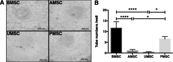 https://cdn.ncbi.nlm.nih.gov/pmc/blobs/ed57/5103372/06a3674be6b8/13287_2016_418_Fig2_HTML.jpg