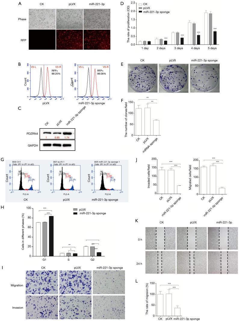 https://cdn.ncbi.nlm.nih.gov/pmc/blobs/ed58/8798939/98082aacc003/tcr-08-04-1289-f4.jpg