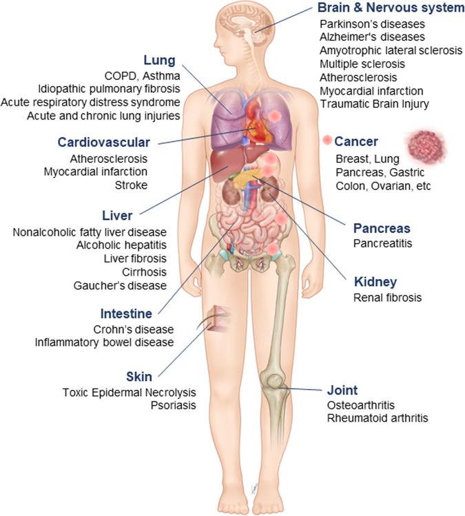 https://cdn.ncbi.nlm.nih.gov/pmc/blobs/ed59/9636380/081fa4dd07d8/12276_2022_868_Fig2_HTML.jpg